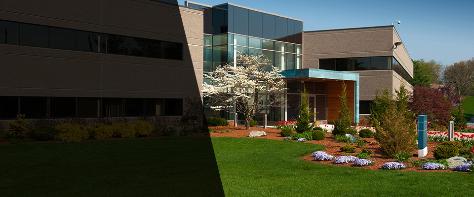 Dryden Landscapers