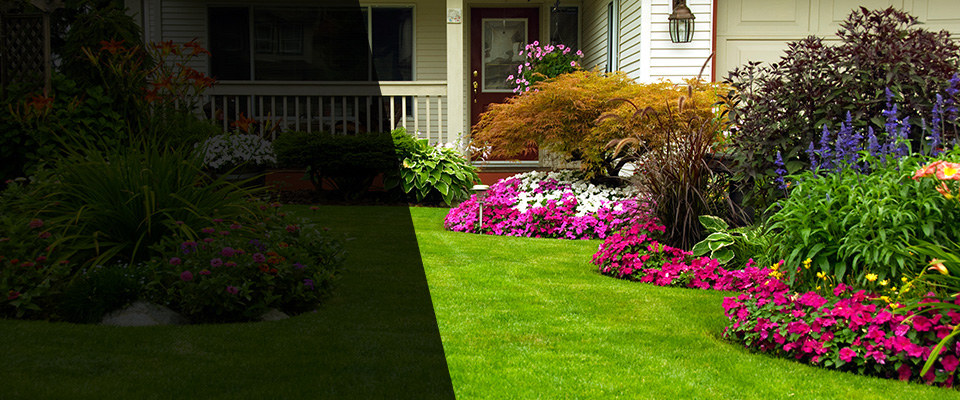 Dryden Landscapers